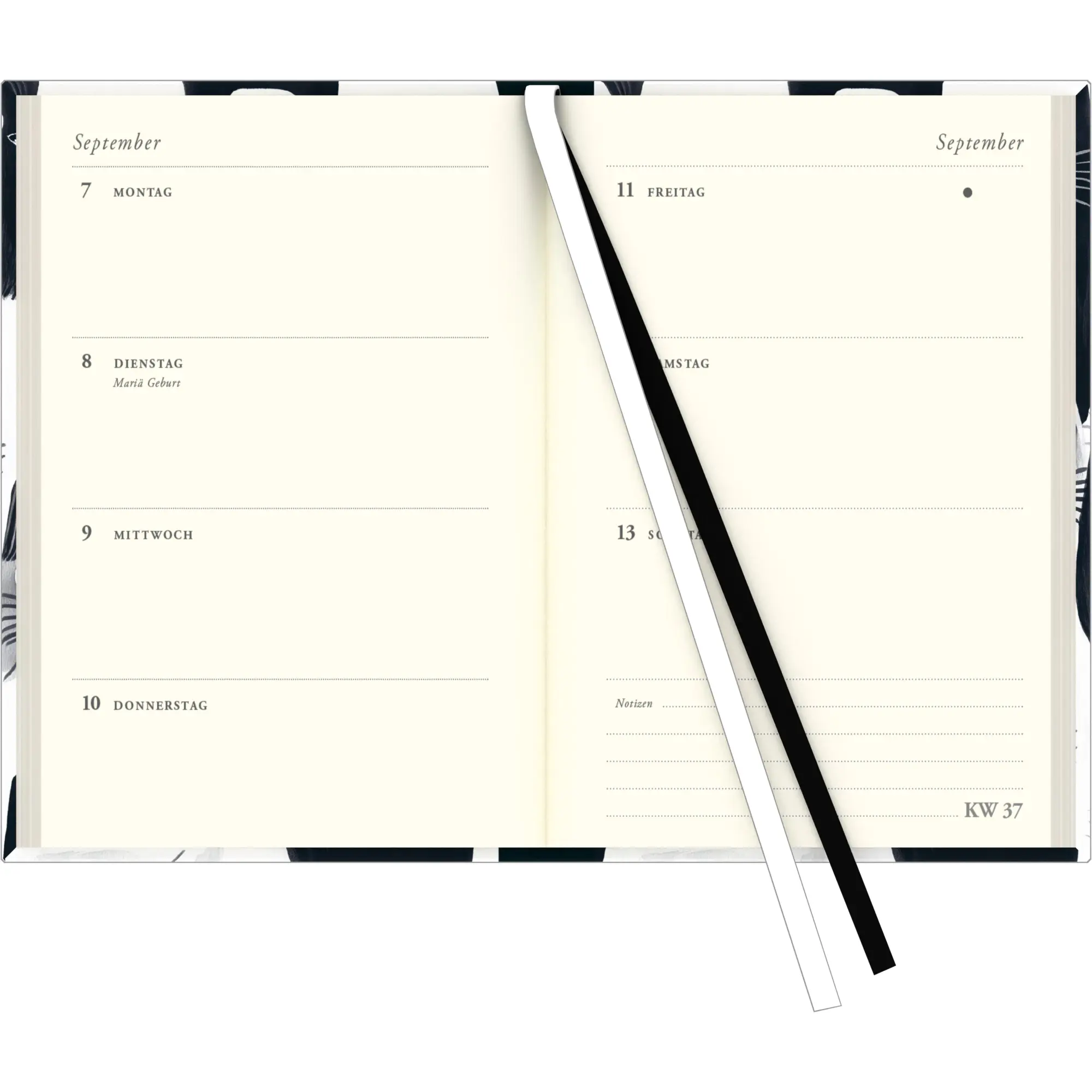Bild: 4069095003569 | Taschenkalender 'Cats' 2026 - Terminplaner mit Wochenkalendarium -...