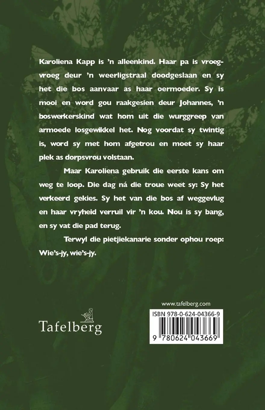 Rückseite: 9780624043669 | Toorbos | Dalene Matthee | Taschenbuch | Kartoniert / Broschiert