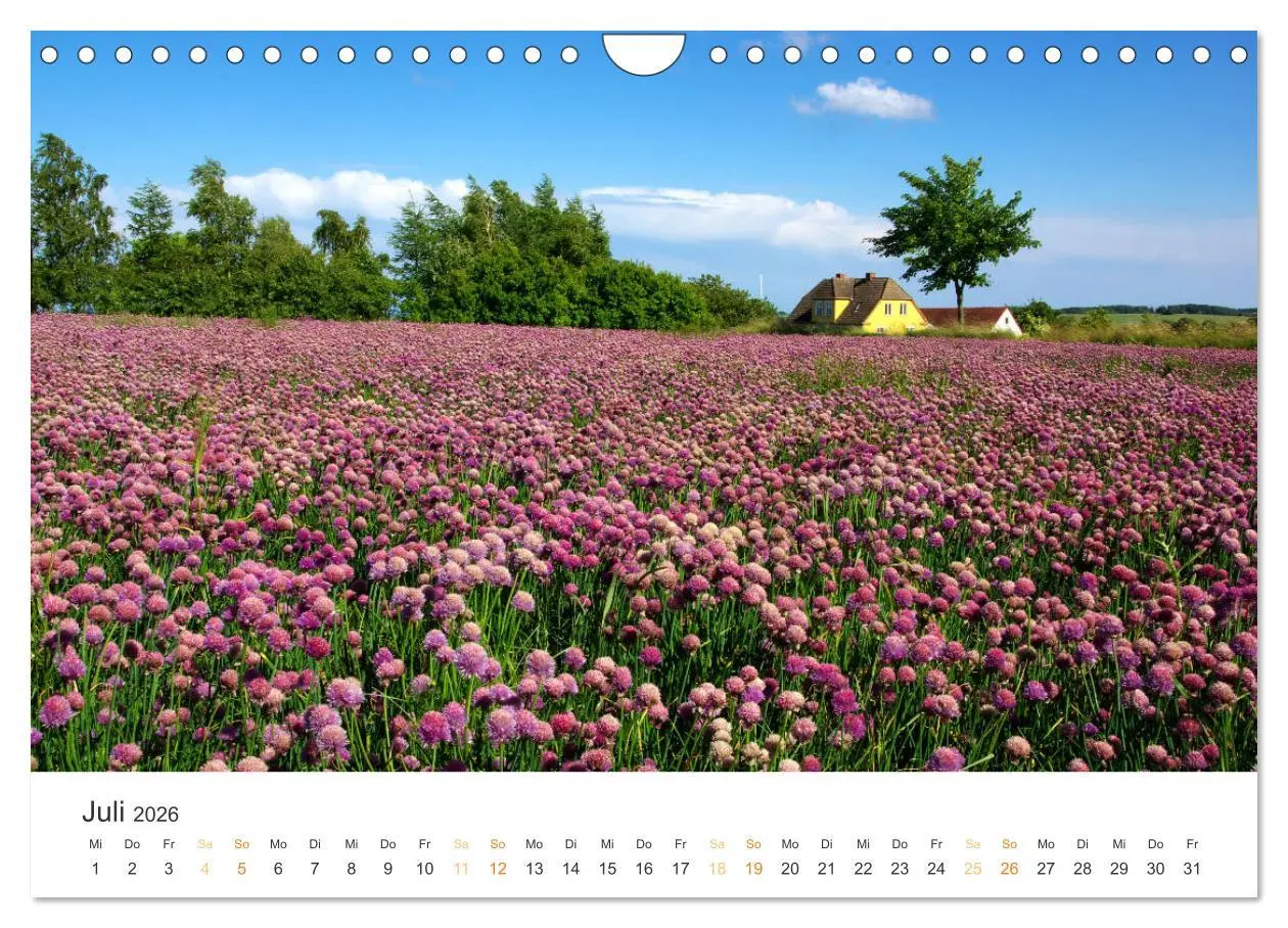 Bild: 9783516213669 | Bornholm Pur (Wandkalender 2026 DIN A4 quer), CALVENDO Monatskalender
