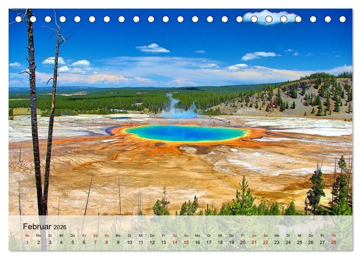 Bild: 9783457593769 | Magische Wunderwelten der Natur (Tischkalender 2026 DIN A5 quer),...