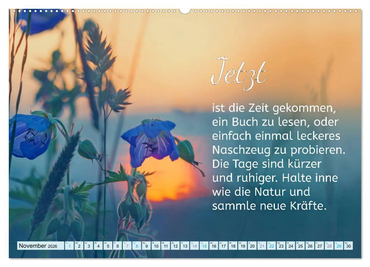 Bild: 9783457663769 | Der Spruchkalender - Inspirationen (hochwertiger Premium...