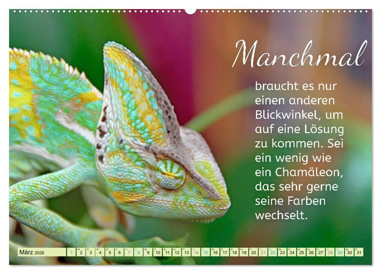 Bild: 9783457663769 | Der Spruchkalender - Inspirationen (hochwertiger Premium...