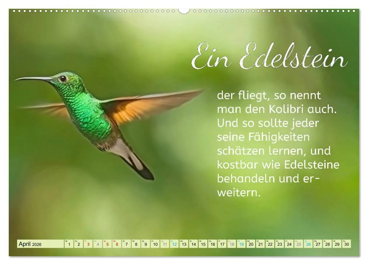 Bild: 9783457663769 | Der Spruchkalender - Inspirationen (hochwertiger Premium...