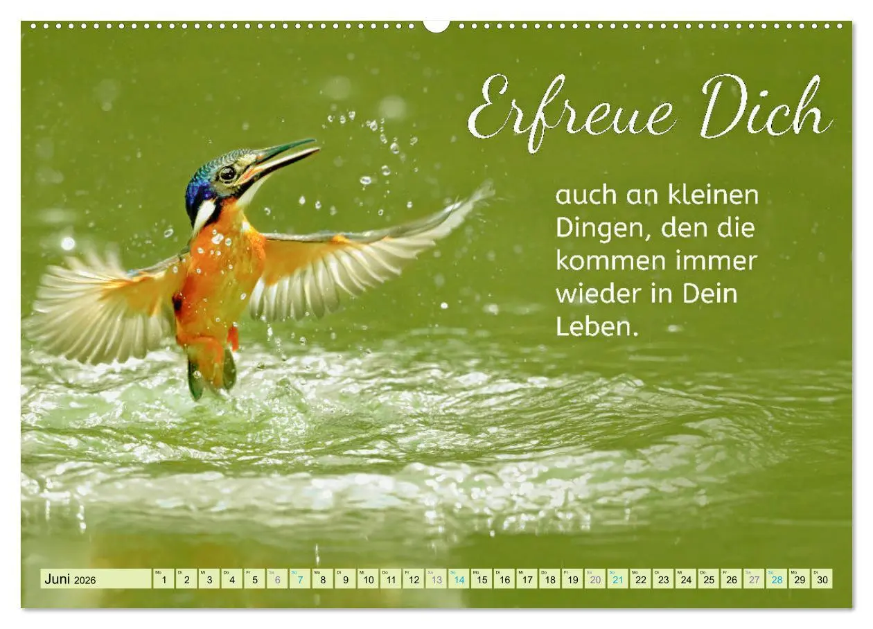 Bild: 9783457663769 | Der Spruchkalender - Inspirationen (hochwertiger Premium...