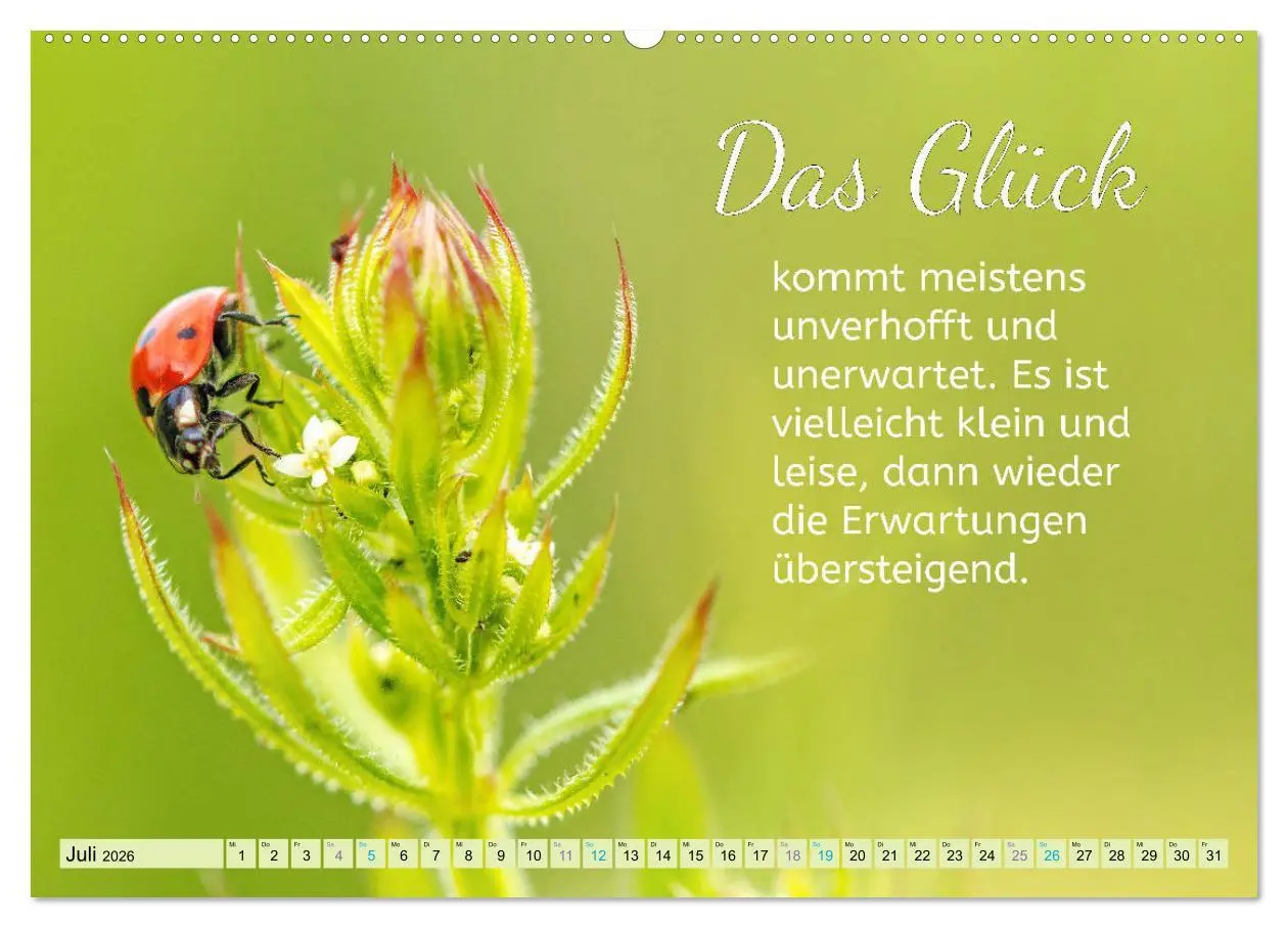 Bild: 9783457663769 | Der Spruchkalender - Inspirationen (hochwertiger Premium...