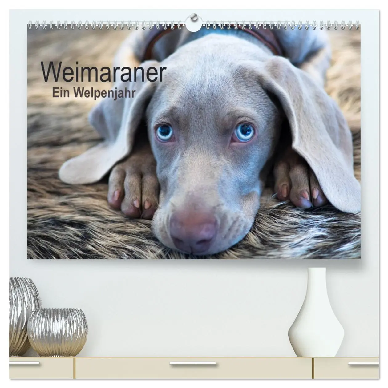 Cover: 9783457733769 | Weimaraner - Ein Welpenjahr (hochwertiger Premium Wandkalender 2026...
