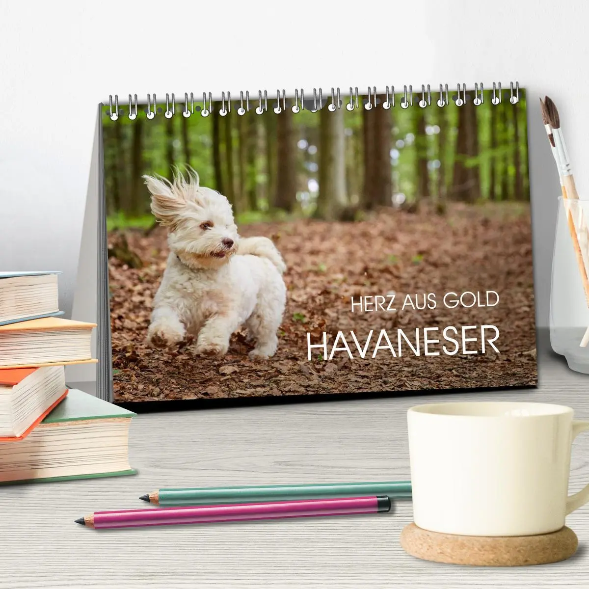 Bild: 9783457973769 | Havaneser - Herz aus Gold (Tischkalender 2026 DIN A5 quer),...