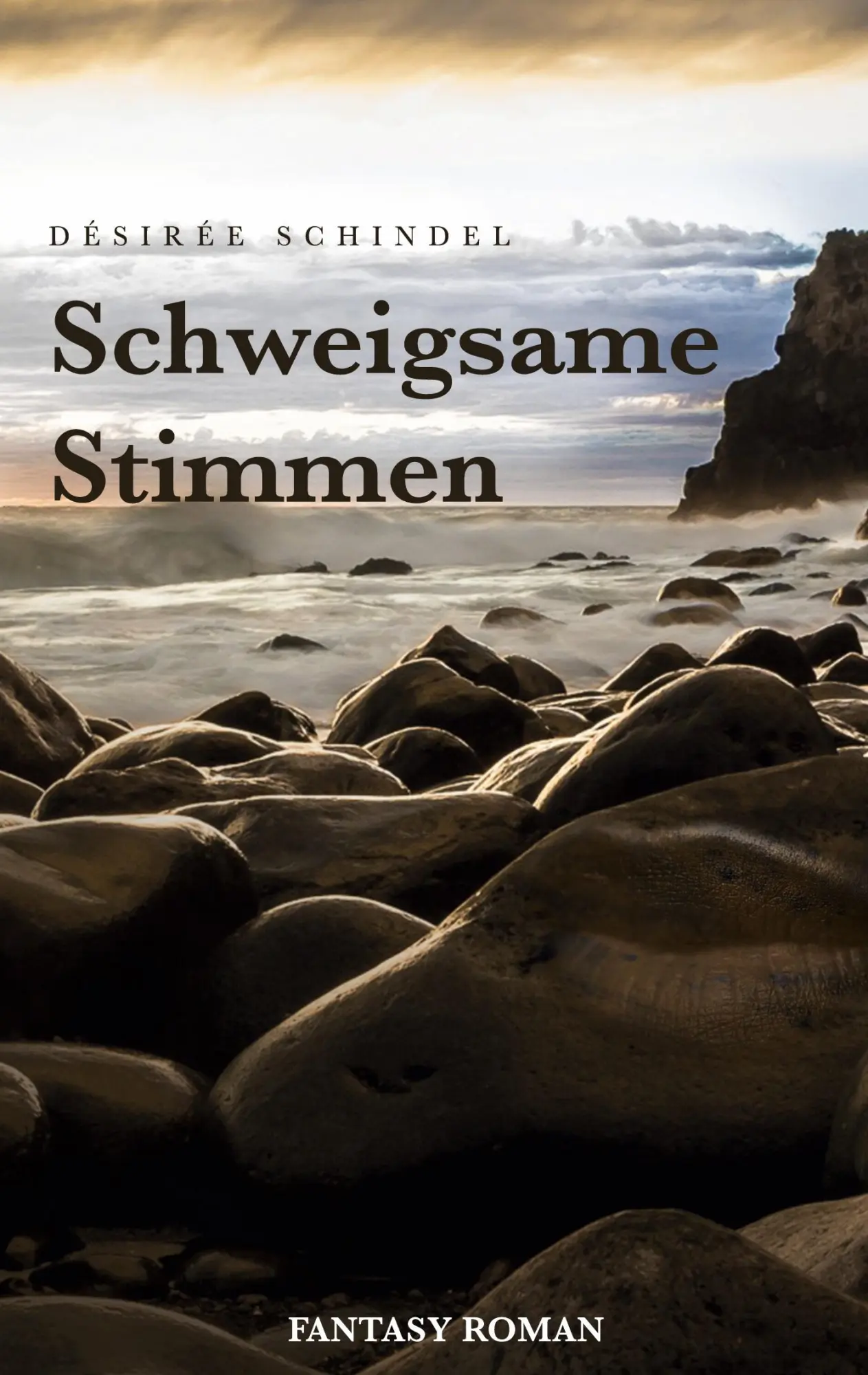 Cover: 9783752683769 | Schweigsame Stimmen | Désirée Schindel | Taschenbuch | Soley Courtney