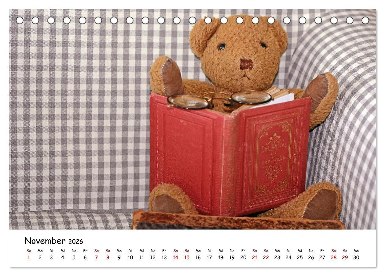 Bild: 9783457583869 | Allerliebste Teddybären (Tischkalender 2026 DIN A5 quer), CALVENDO...