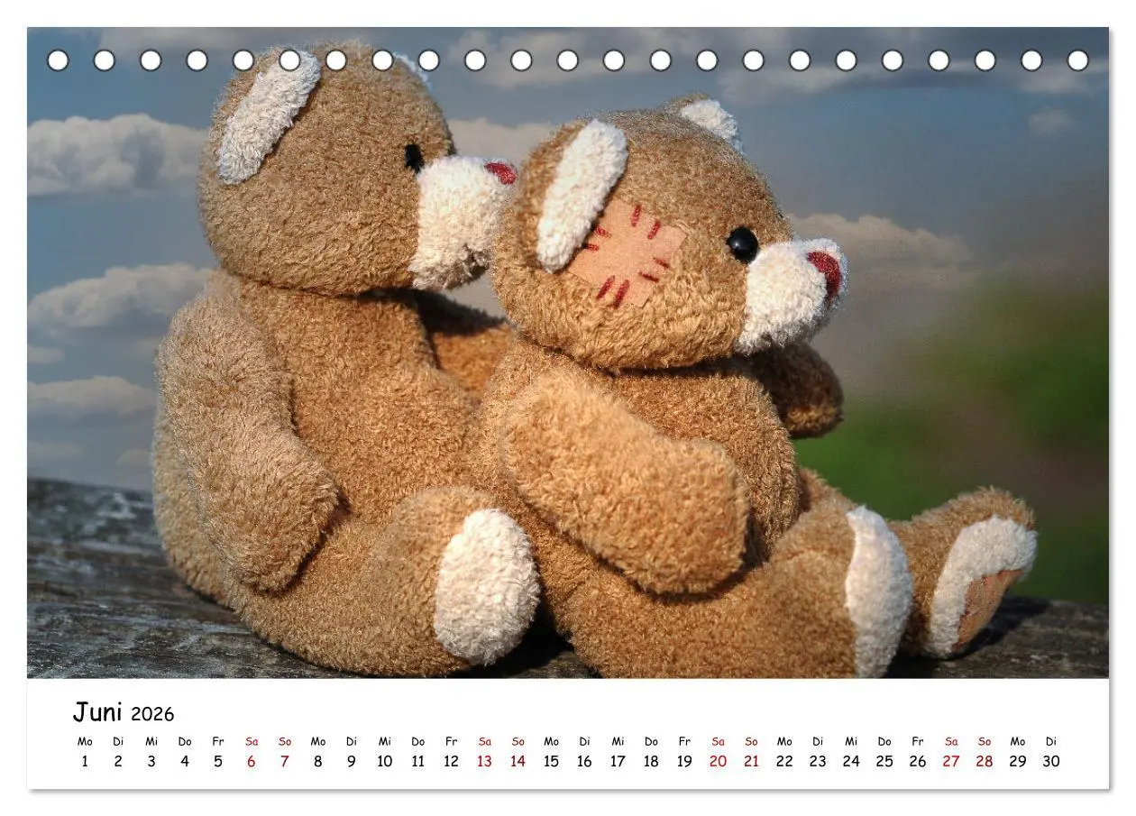 Bild: 9783457583869 | Allerliebste Teddybären (Tischkalender 2026 DIN A5 quer), CALVENDO...