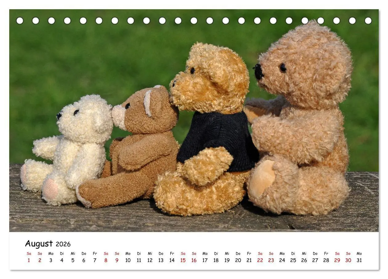 Bild: 9783457583869 | Allerliebste Teddybären (Tischkalender 2026 DIN A5 quer), CALVENDO...