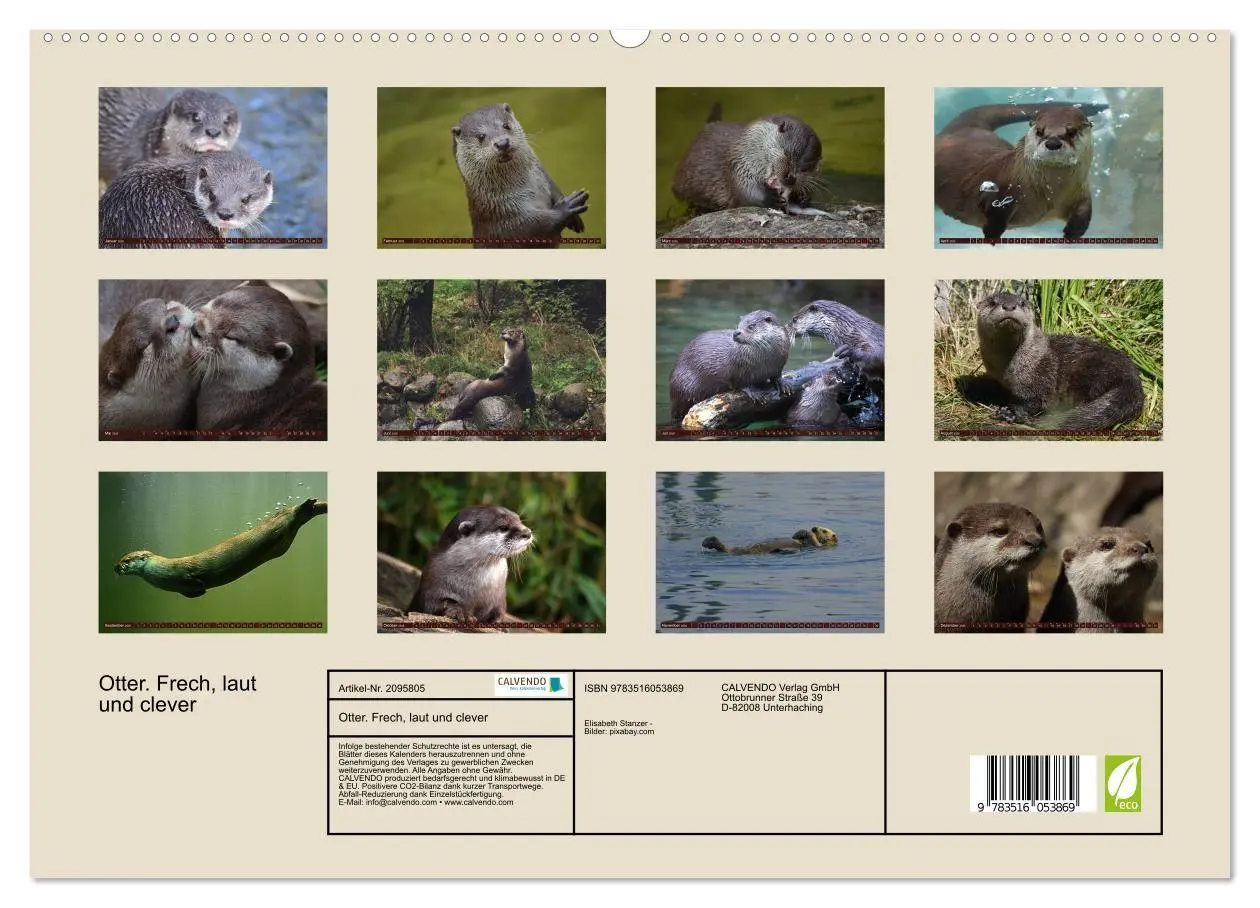 Bild: 9783516053869 | Otter. Frech, laut und clever (hochwertiger Premium Wandkalender...