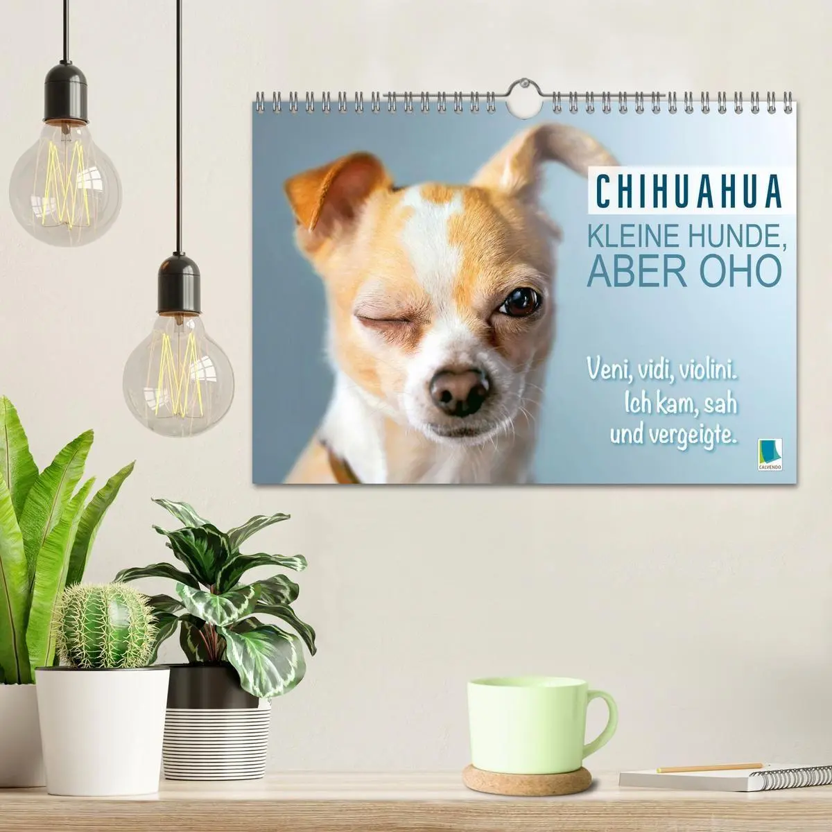 Bild: 9783516673869 | Chihuahua: Kleine Hunde, aber oho (Wandkalender 2026 DIN A4 quer),...
