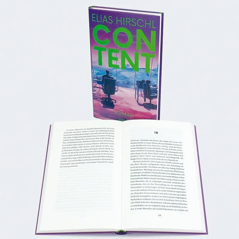 Bild: 9783552073869 | Content | Roman | Elias Hirschl | Buch | 224 S. | Deutsch | 2024