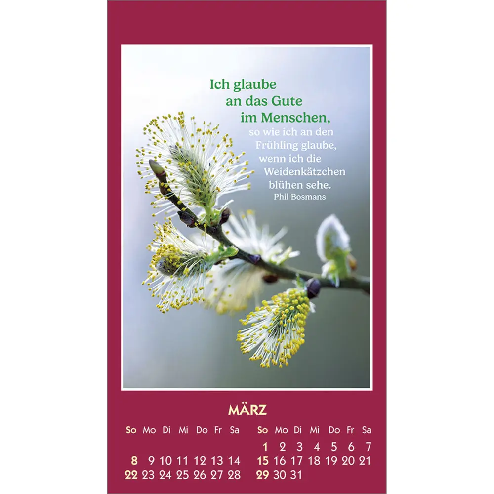 Bild: 9783754893869 | Gute Worte erhellen den Tag 2026 | Mini-Aufkleber-Kalender | Bosmans