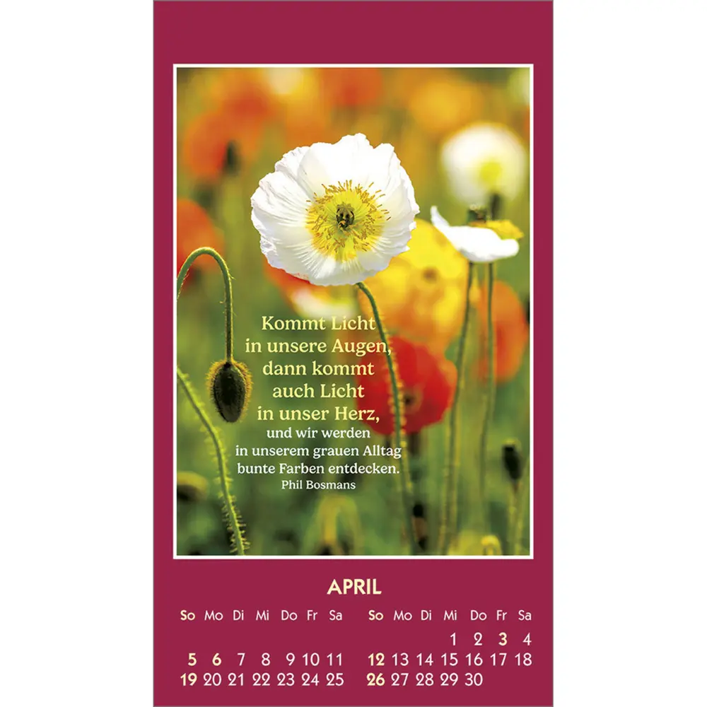 Bild: 9783754893869 | Gute Worte erhellen den Tag 2026 | Mini-Aufkleber-Kalender | Bosmans