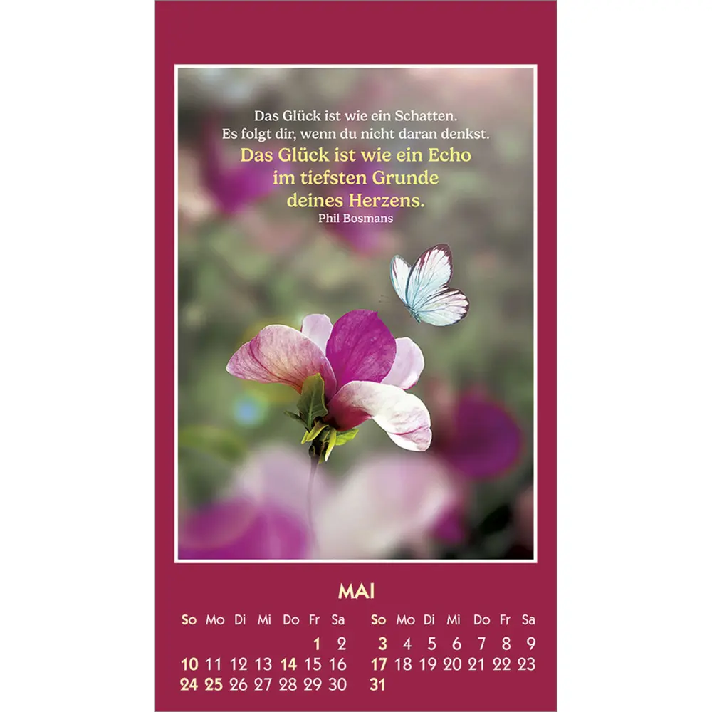 Bild: 9783754893869 | Gute Worte erhellen den Tag 2026 | Mini-Aufkleber-Kalender | Bosmans