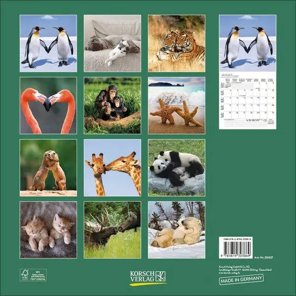 Bild: 9783819303869 | All we need is LOVE 2027 | Verlag Korsch | Kalender | 13 S. | Deutsch