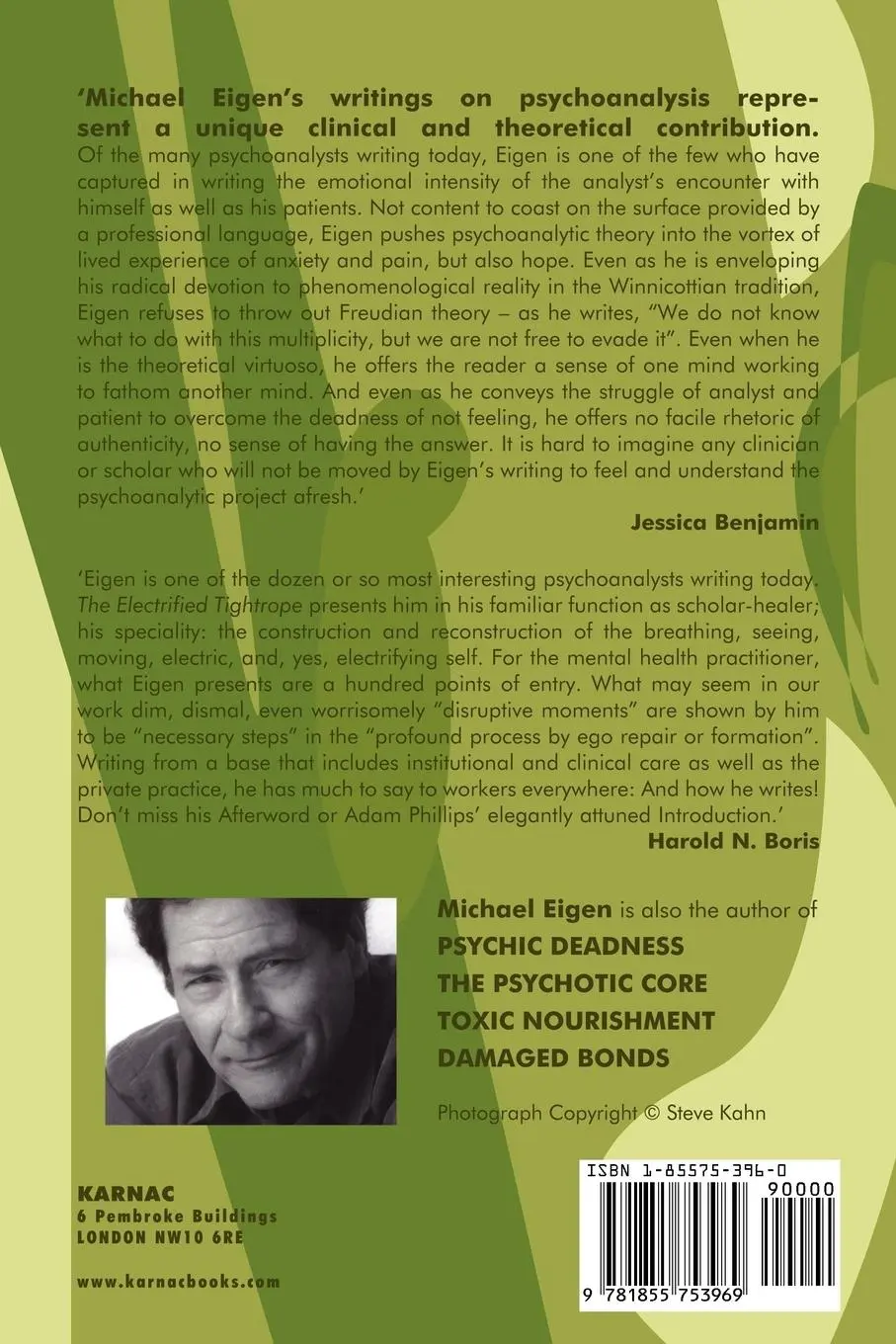 Rückseite: 9781855753969 | The Electrified Tightrope | Michael Eigen | Taschenbuch | Englisch