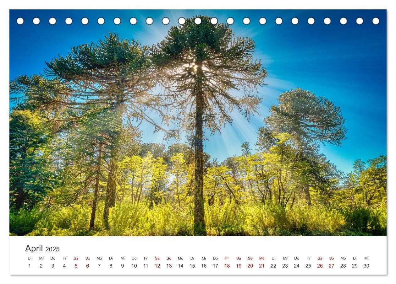 Bild: 9783435003969 | Chile - Das langgestreckte Land. (Tischkalender 2025 DIN A5 quer),...