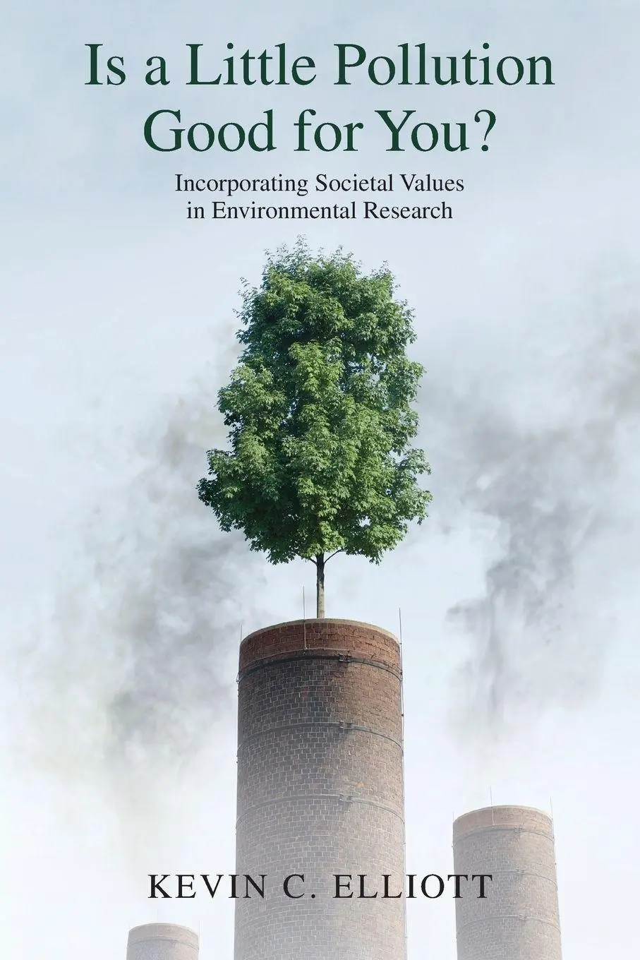 Cover: 9780199374069 | Is a Little Pollution Good for You? | Kevin C. Elliott | Taschenbuch