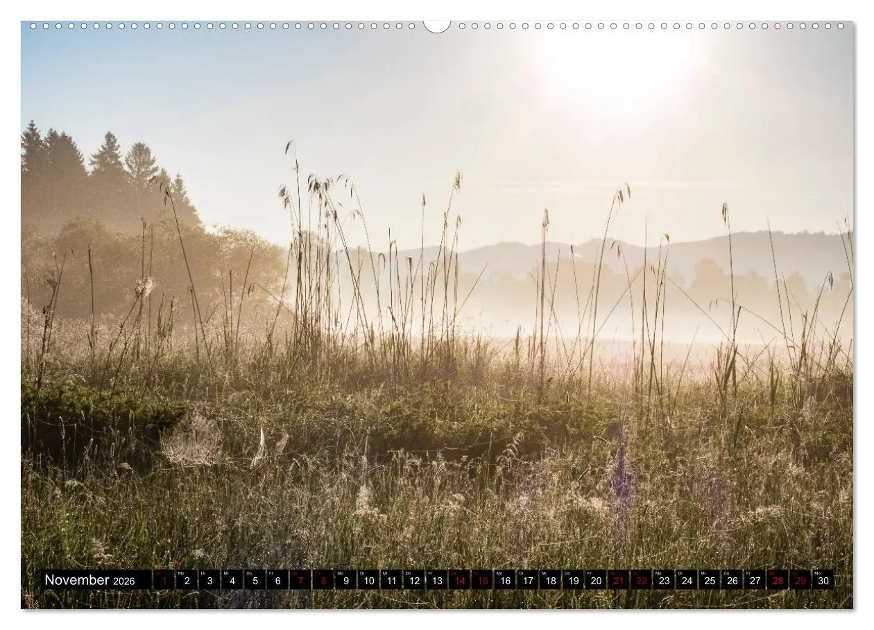 Bild: 9783457844069 | Ausflugsziele rund um Isny (Wandkalender 2026 DIN A2 quer),...