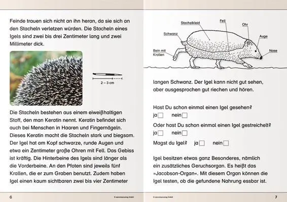 Bild: 9783946904069 | Ich kenne den Igel | Katrin Langhans | Taschenbuch | PAPPE | 19 S.