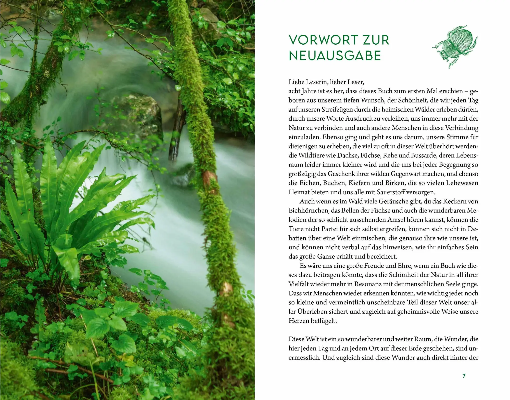 Bild: 9783864104169 | Kraftort Natur | Verbundenheit mit der wilden Seele der Welt | Buch