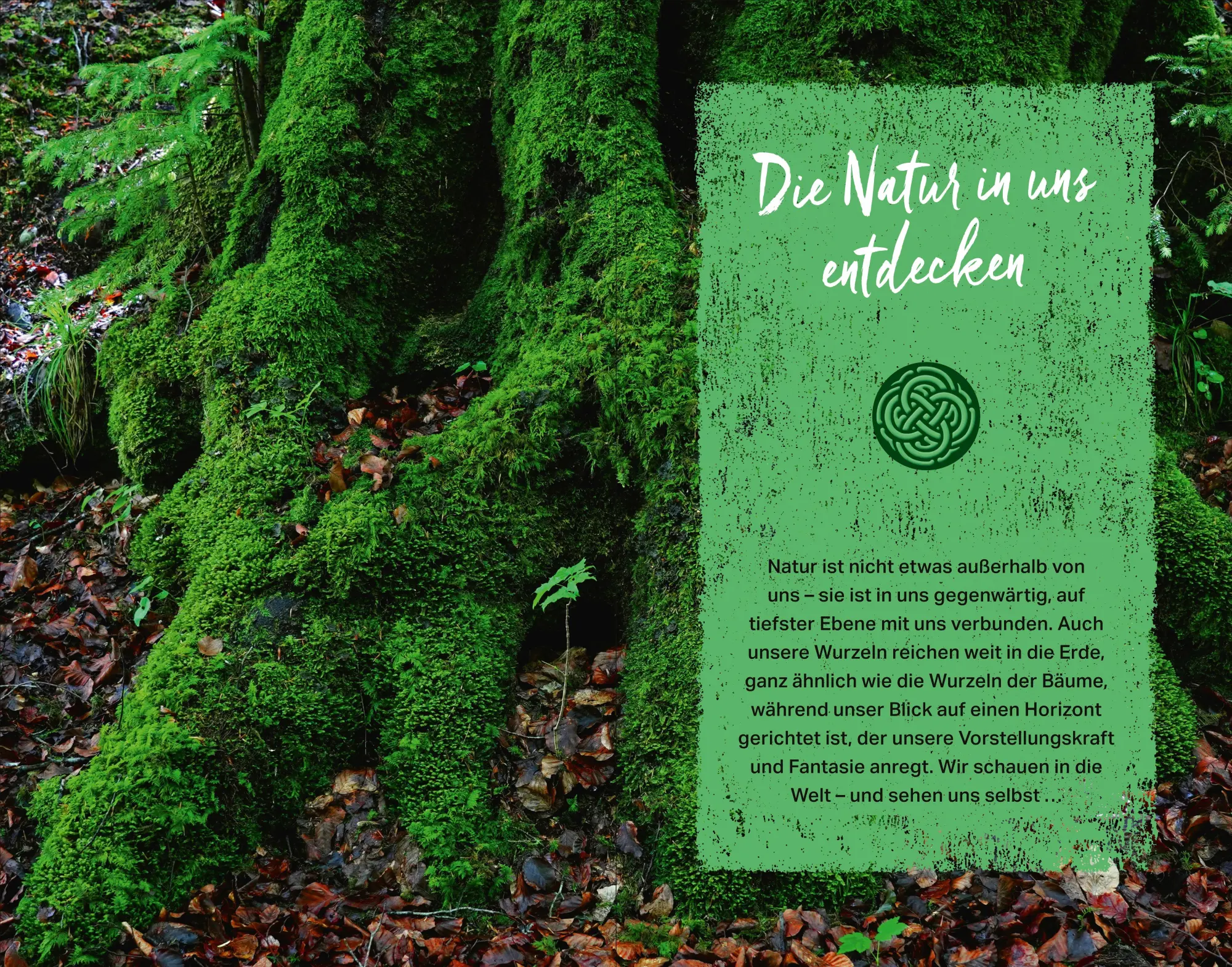 Bild: 9783864104169 | Kraftort Natur | Verbundenheit mit der wilden Seele der Welt | Buch