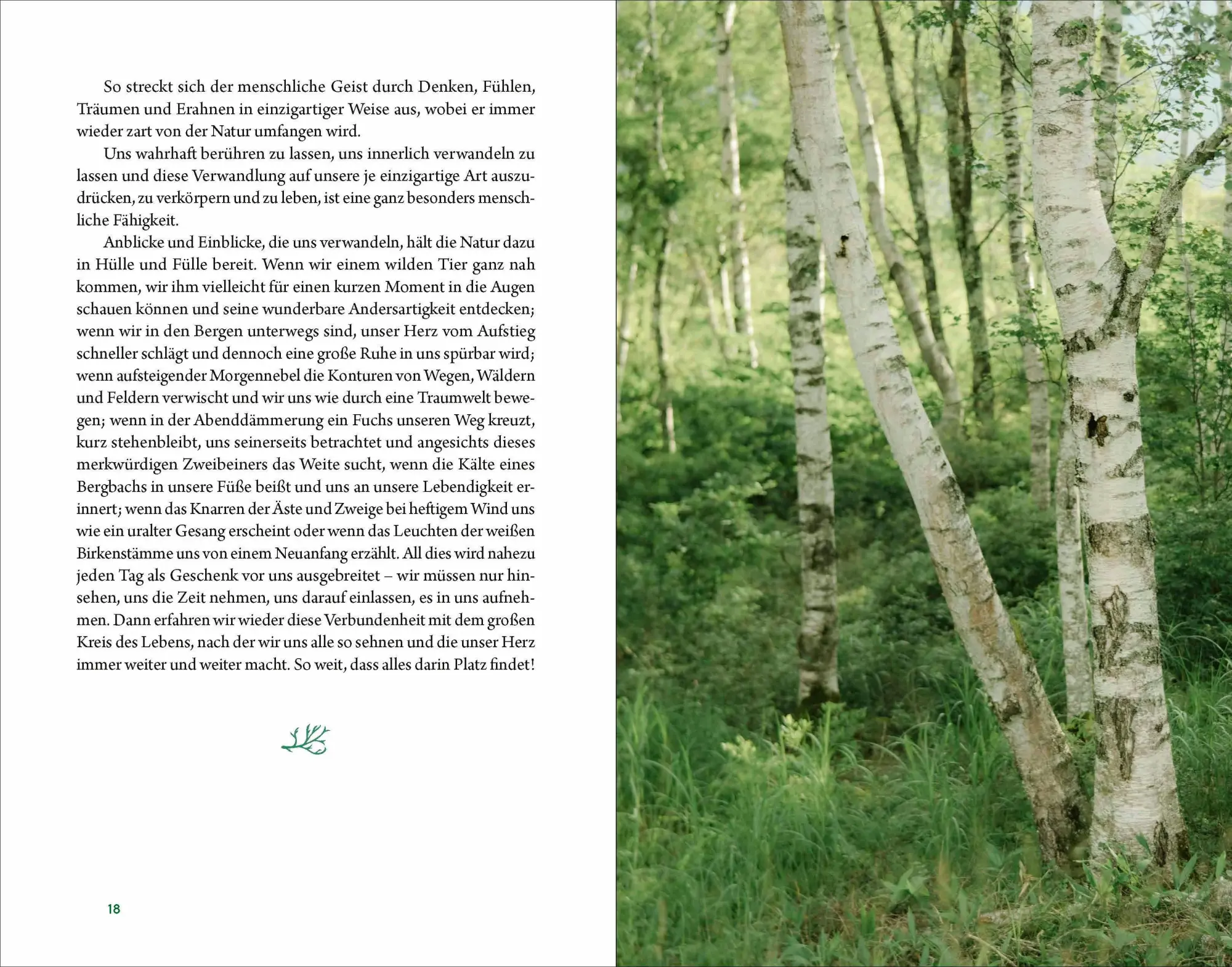 Bild: 9783864104169 | Kraftort Natur | Verbundenheit mit der wilden Seele der Welt | Buch