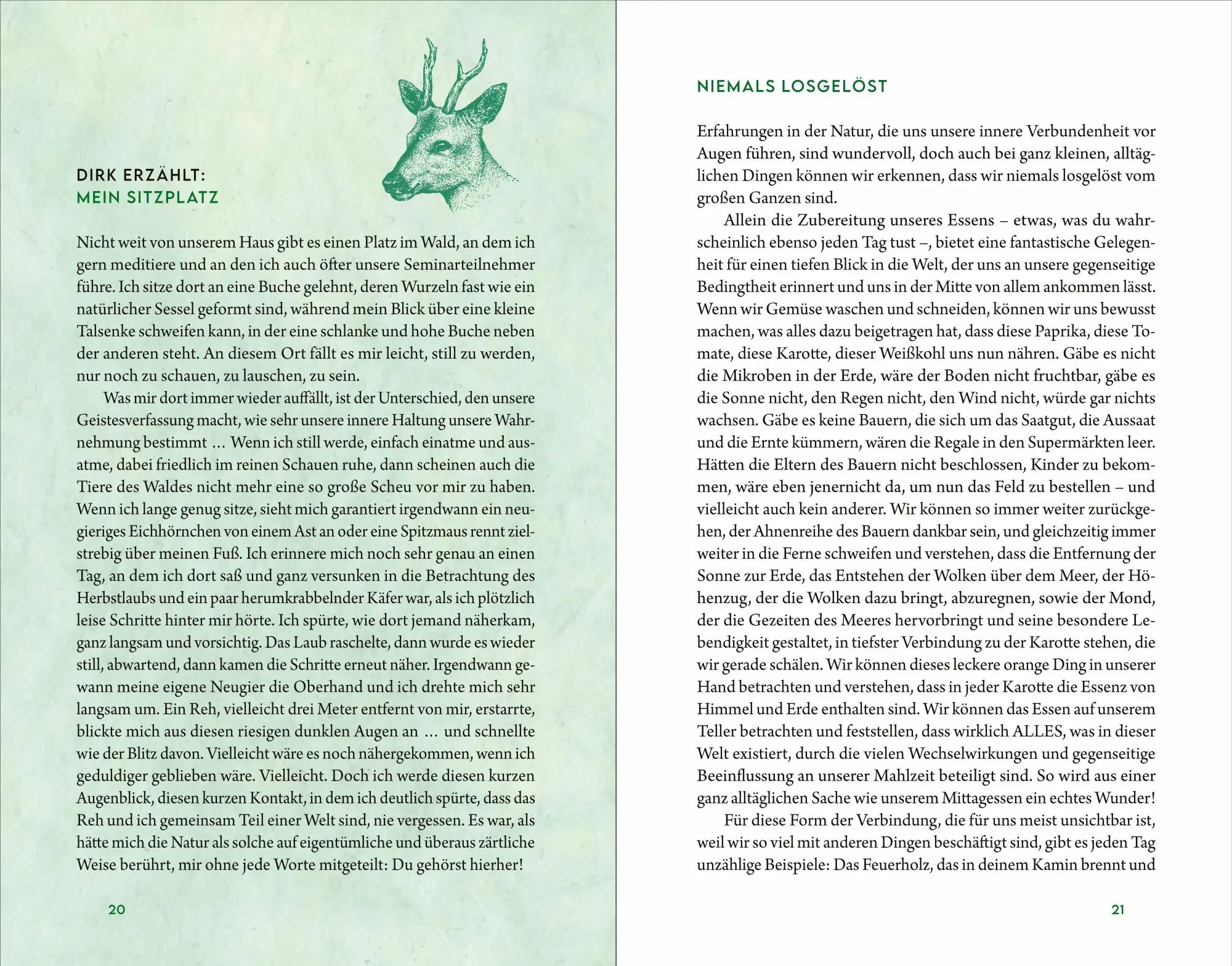 Bild: 9783864104169 | Kraftort Natur | Verbundenheit mit der wilden Seele der Welt | Buch