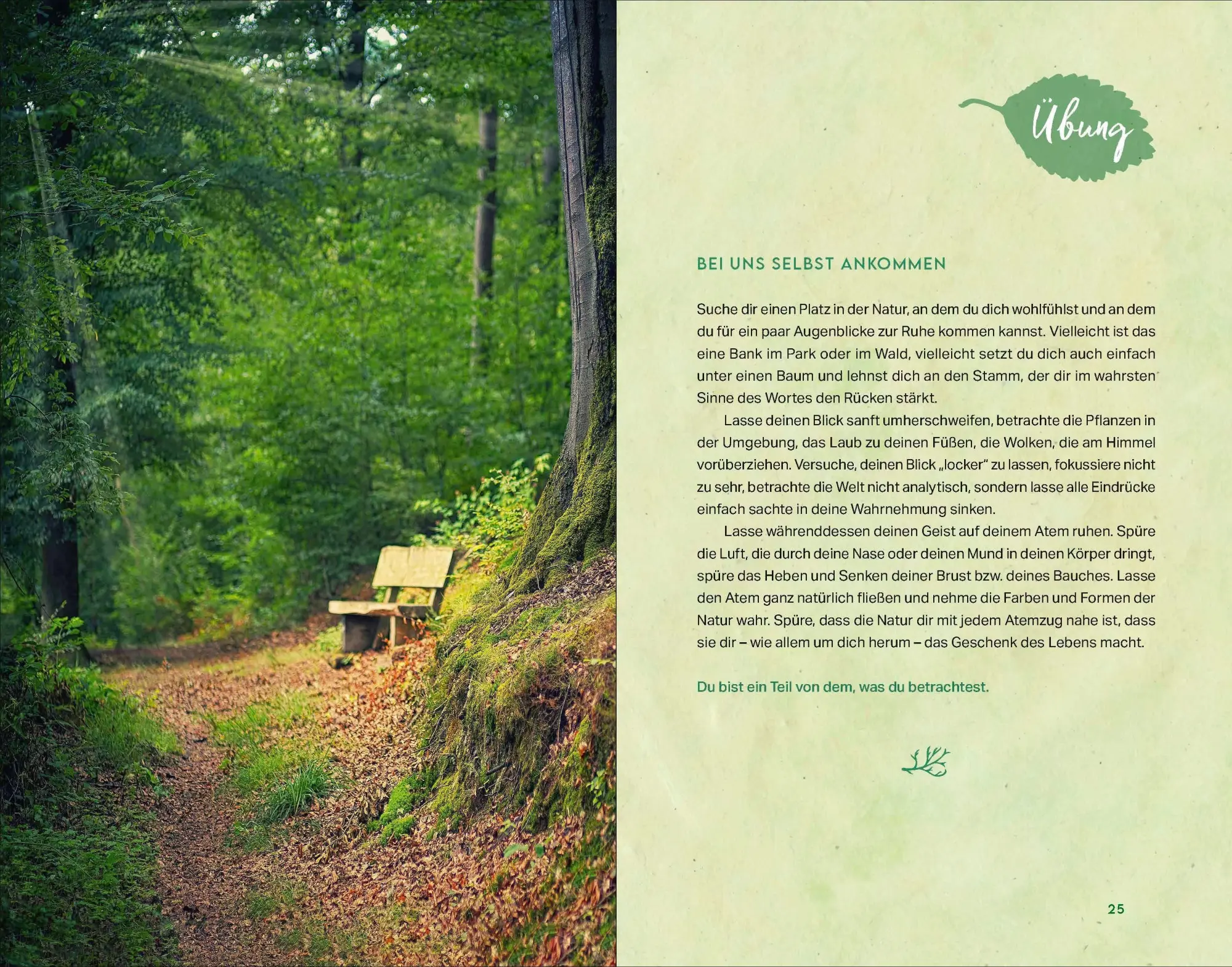 Bild: 9783864104169 | Kraftort Natur | Verbundenheit mit der wilden Seele der Welt | Buch