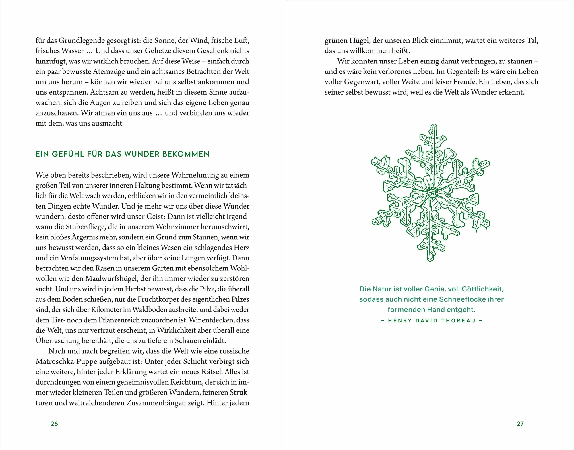Bild: 9783864104169 | Kraftort Natur | Verbundenheit mit der wilden Seele der Welt | Buch