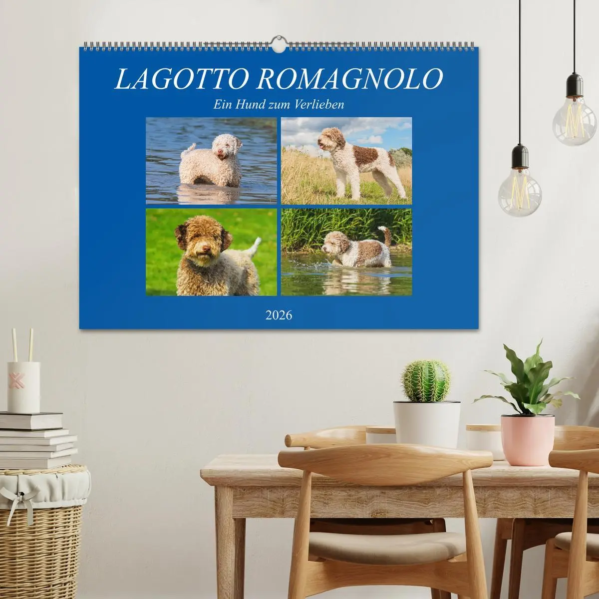 Bild: 9783457824269 | Lagotto Romagnolo - Ein Hund zum Verlieben (Wandkalender 2026 DIN...