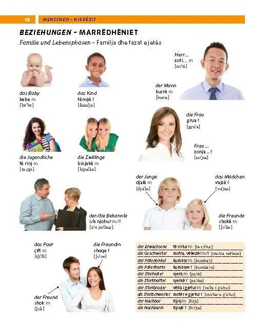 Bild: 9783125164369 | PONS Bildwörterbuch Albanisch | Taschenbuch | PONS Bildwörterbuch