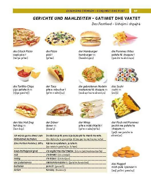 Bild: 9783125164369 | PONS Bildwörterbuch Albanisch | Taschenbuch | PONS Bildwörterbuch