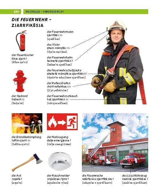 Bild: 9783125164369 | PONS Bildwörterbuch Albanisch | Taschenbuch | PONS Bildwörterbuch