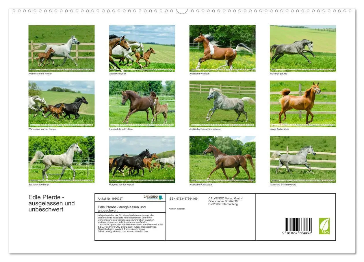Bild: 9783457664469 | Edle Pferde - ausgelassen und unbeschwert (hochwertiger Premium...
