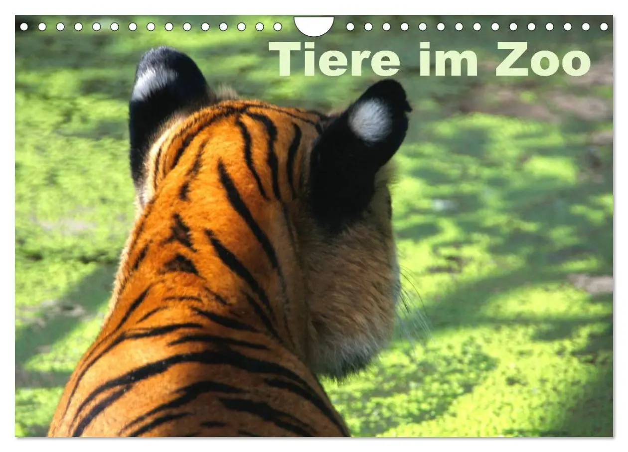 Cover: 9783457974469 | Tiere im Zoo (Wandkalender 2026 DIN A4 quer), CALVENDO Monatskalender