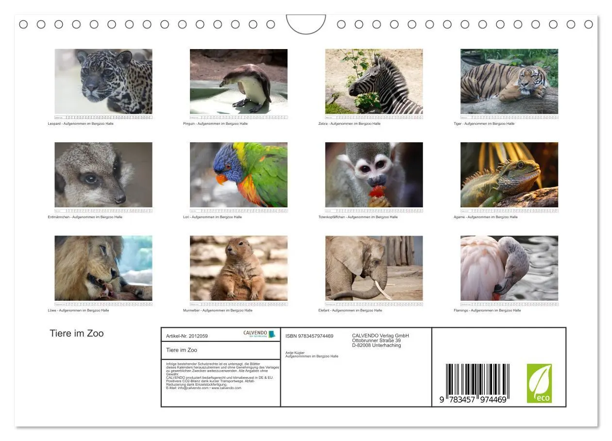 Bild: 9783457974469 | Tiere im Zoo (Wandkalender 2026 DIN A4 quer), CALVENDO Monatskalender