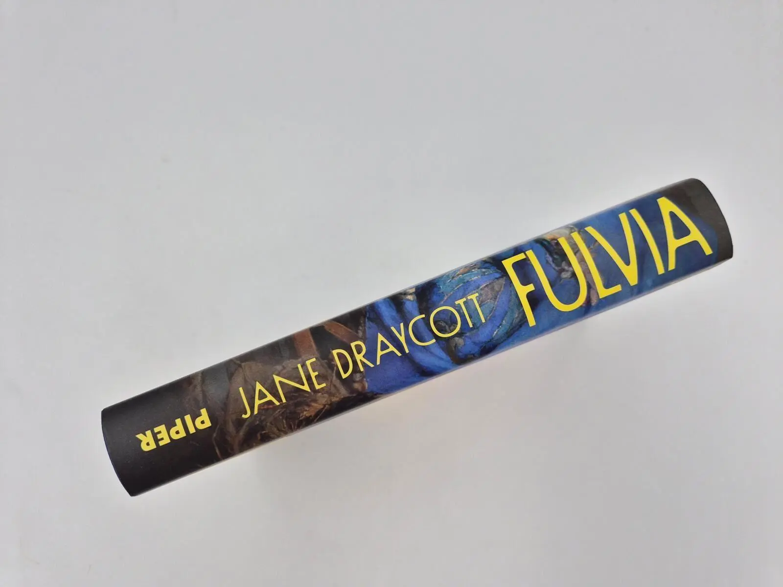Bild: 9783492074469 | Fulvia | Jane Draycott | Buch | 304 S. | Deutsch | 2026