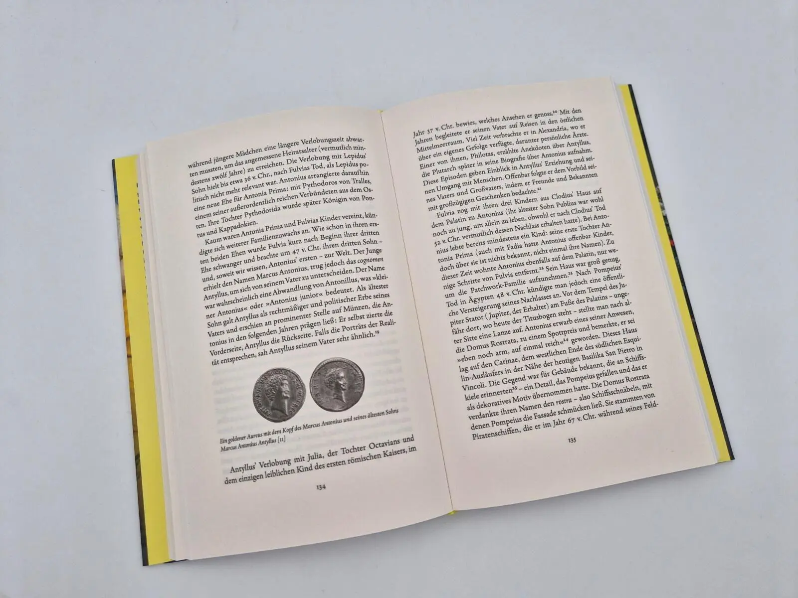 Bild: 9783492074469 | Fulvia | Jane Draycott | Buch | 304 S. | Deutsch | 2026
