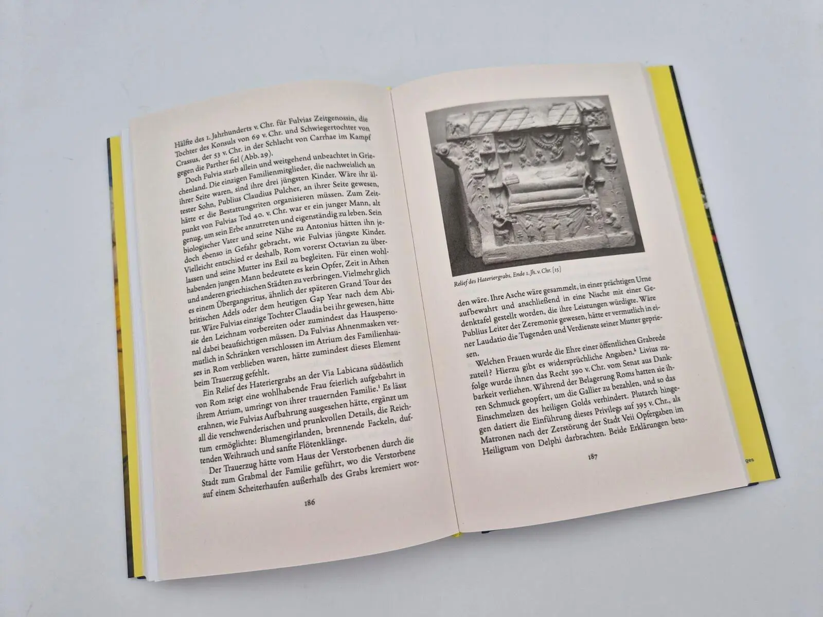 Bild: 9783492074469 | Fulvia | Jane Draycott | Buch | 304 S. | Deutsch | 2026