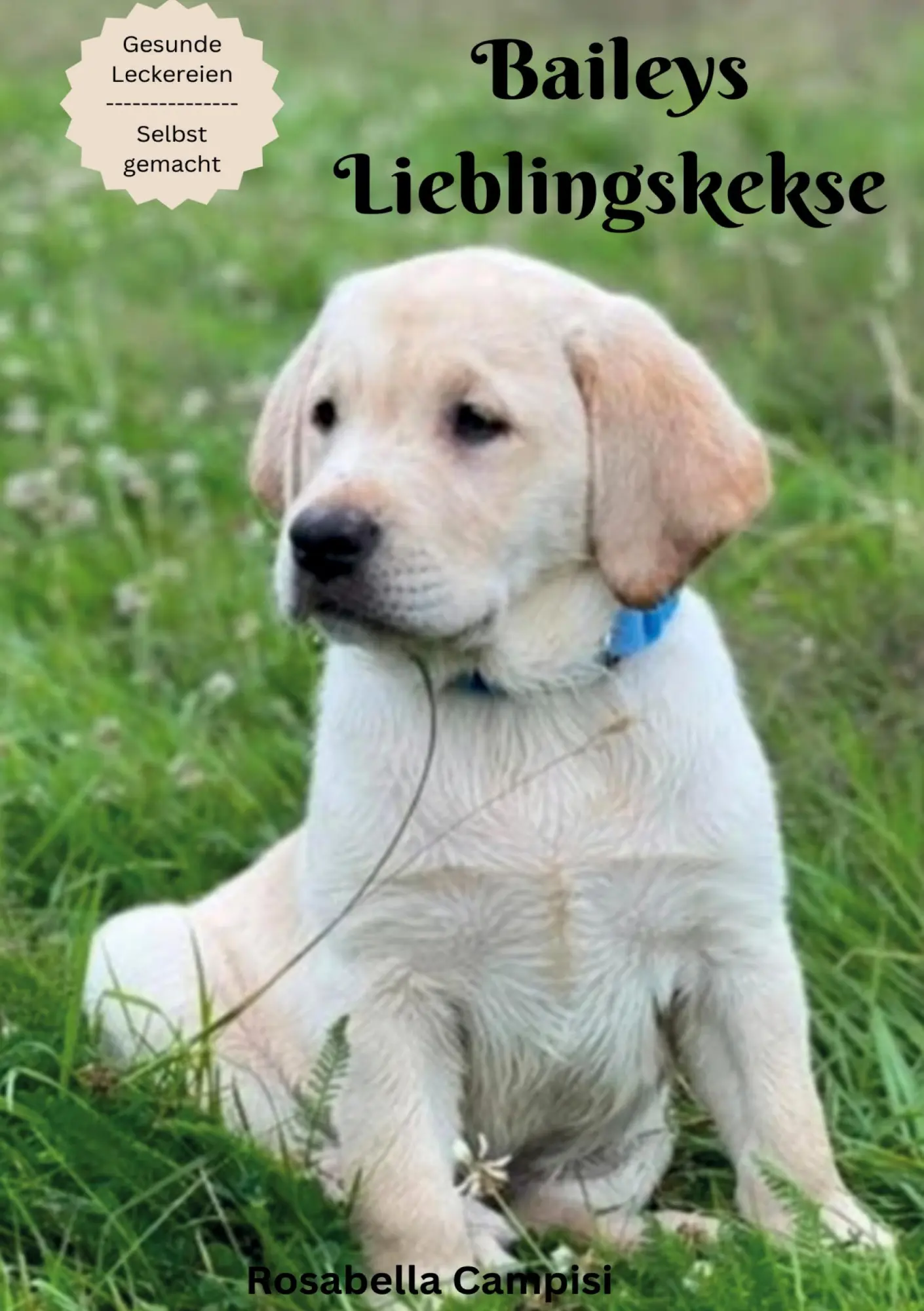 Cover: 9783988854469 | Baileys Lieblingskekse | Rosabella Campisi | Taschenbuch | 64 S.