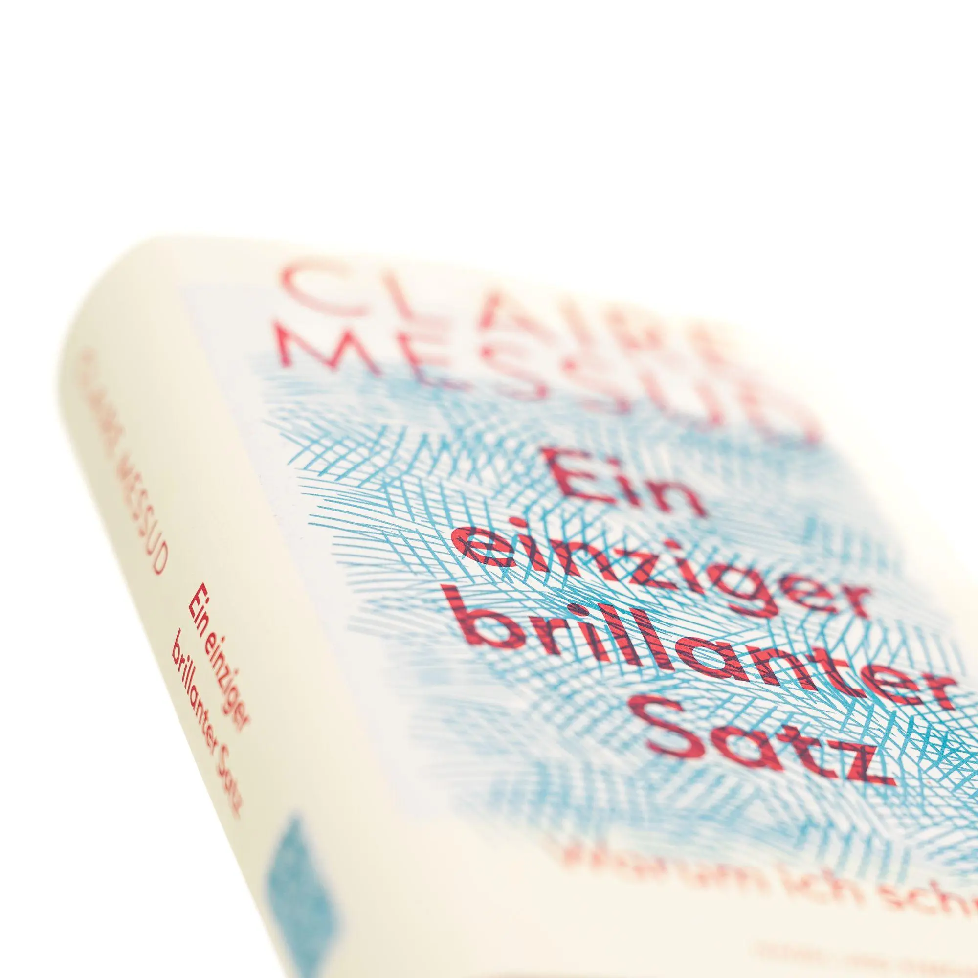 Bild: 9783312014569 | Ein einziger brillanter Satz | Claire Messud | Buch | 464 S. | Deutsch