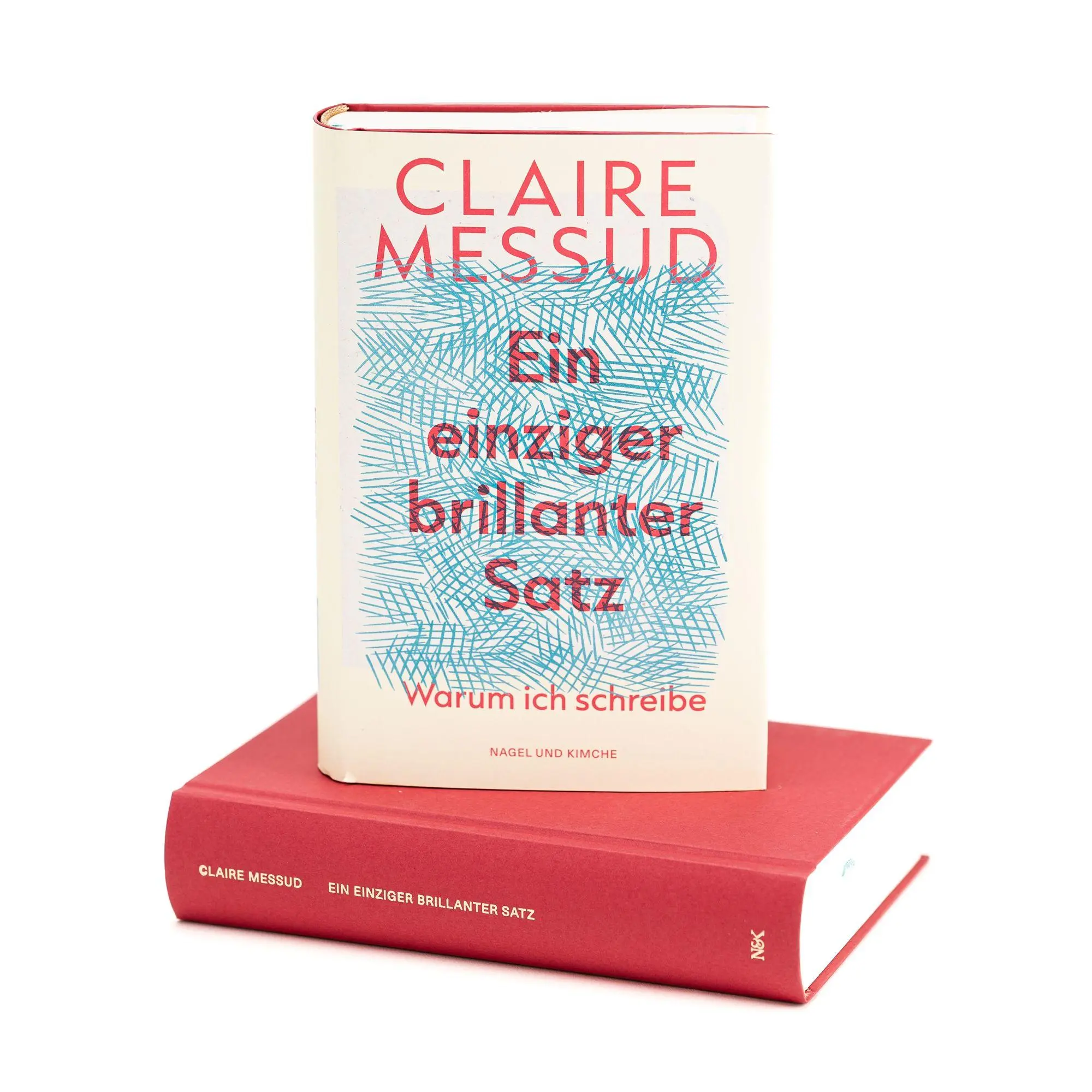Bild: 9783312014569 | Ein einziger brillanter Satz | Claire Messud | Buch | 464 S. | Deutsch
