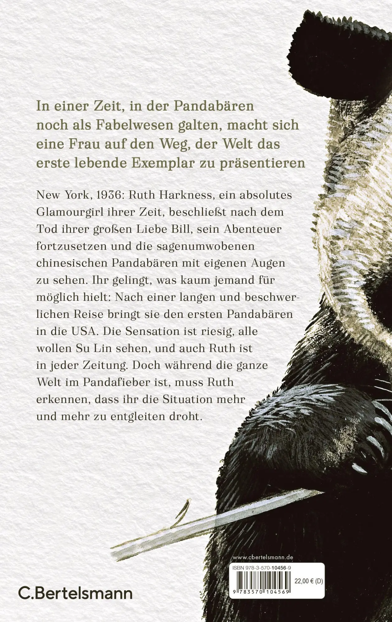 Bild: 9783570104569 | Die Spur der Bambusbären | Roman | Ruth Kornberger | Buch | 352 S.