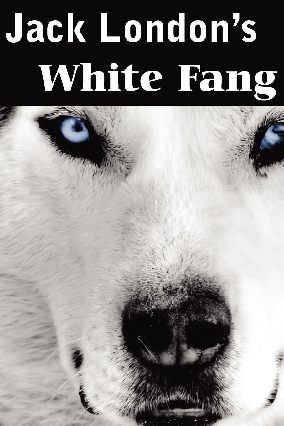 White Fang | Jack London | Taschenbuch | Paperback | Englisch | 2012 | Bottom of the Hill Publishing | EAN 9781612034669 - London, Jack