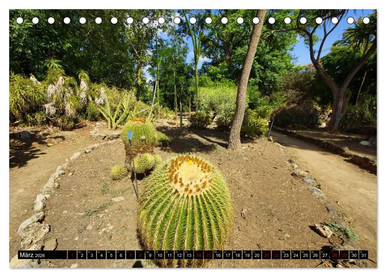 Bild: 9783457874769 | Botanischer Garten Palermo (Tischkalender 2026 DIN A5 quer),...