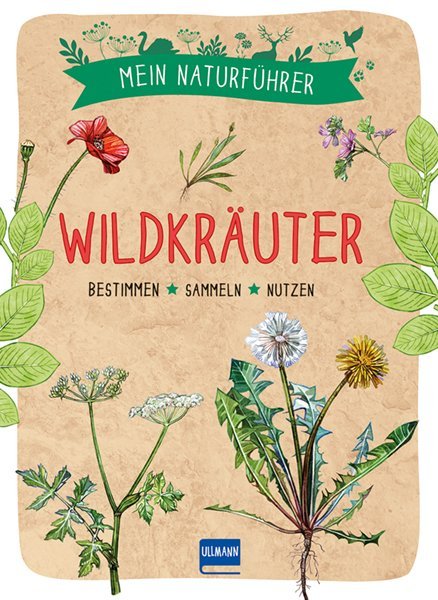 Cover: 9783741524769 | Mein Naturführer - Wildkräuter | Bestimmen - sammeln - nutzen | Buch